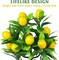 Small Artificial Lemon Tree – Faux Potted Bonsai Plant for Indoor Décor, Bathroom, Window, Tabletop, or Office with Colorful Faux Flowers